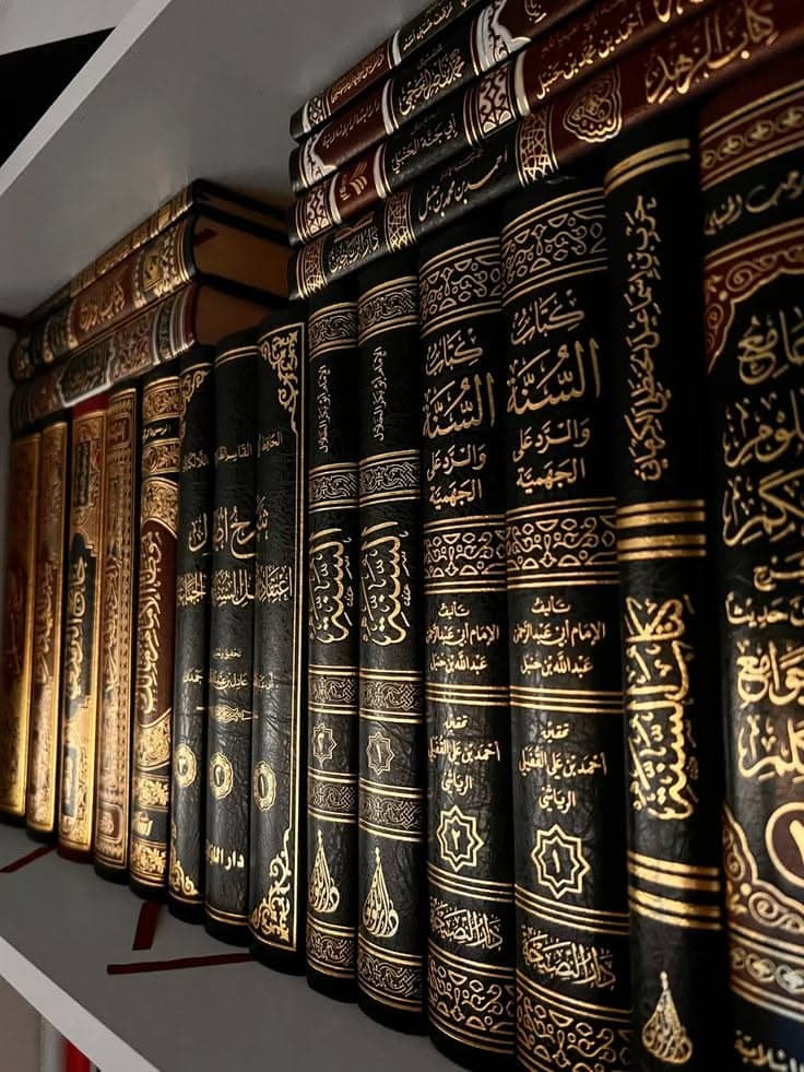 صورة توضيحية لمقال التطور وخلق الإنسان: أين محل الخلاف؟